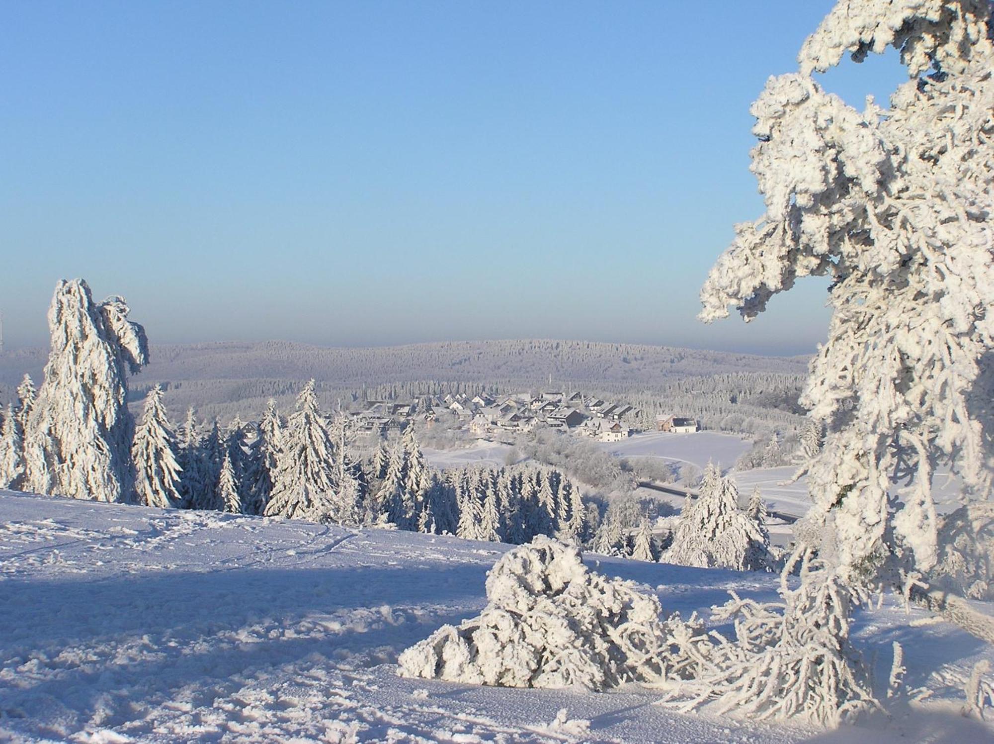 Romantik Berghotel Astenkrone Winterberg Exteriör bild